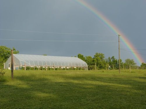 A greenhouse in a grassy field under a rainbow against a cloudy sky.