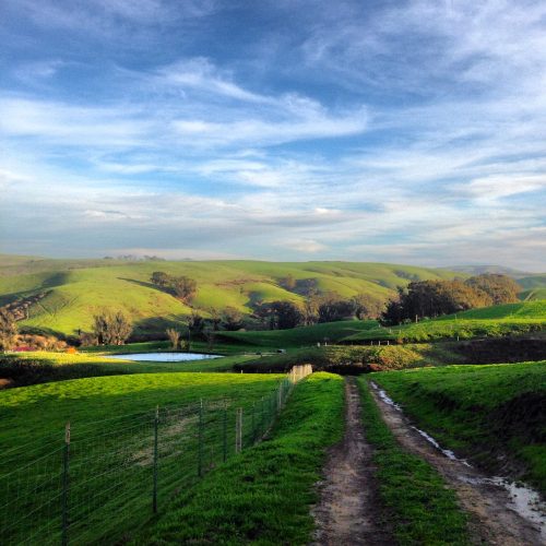 A scenic landscape featuring rolling green hills, a dirt path, and a small pond under a blue sky with wispy clouds.
