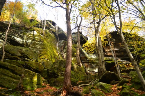 A rocky cliff surrounded by trees with autumn leaves, showcasing vibrant greens and yellows in a serene forest setting.