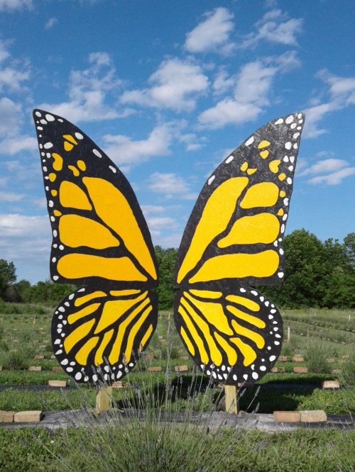 A large, colorful butterfly sculpture with yellow and black wings stands in a grassy field under a blue sky.