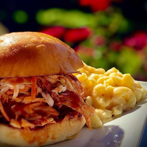 A close-up of a pulled pork sandwich with coleslaw, served alongside creamy macaroni and cheese on a white plate.