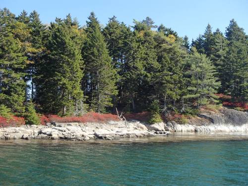 A serene shoreline with lush green trees and vibrant red foliage reflecting in calm blue water under a clear sky.