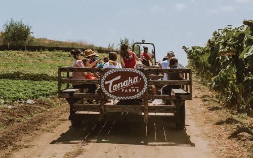 A group of people enjoying a farm tour on a tractor-drawn wagon, surrounded by greenery and sunny skies.