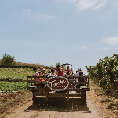 A group of people sitting on a farm trailer, surrounded by greenery and under a clear blue sky.