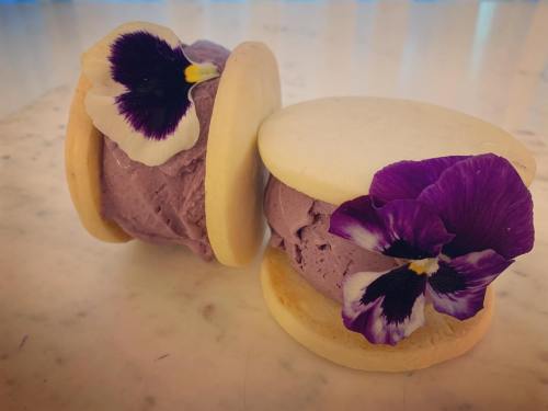 Two ice cream sandwiches with purple ice cream, garnished with edible pansy flowers, on a marble surface.