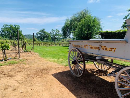 A vintage wagon with "Welcome to MT. Vernon Winery" sits beside lush vineyards under a clear blue sky.