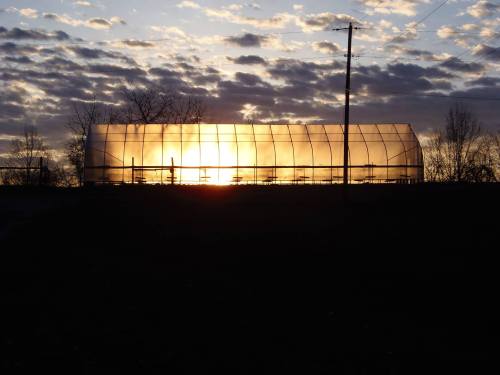 A greenhouse silhouetted against a vibrant sunset, with clouds scattered in the sky.
