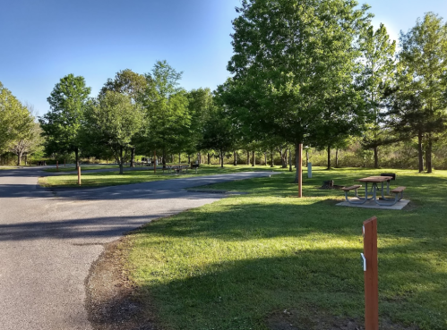 A peaceful park scene with green trees, a picnic area, and a winding path under a clear blue sky.