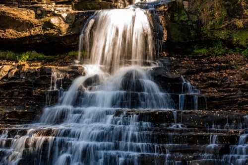 A cascading waterfall flows over rocky ledges, surrounded by lush greenery and fallen leaves.