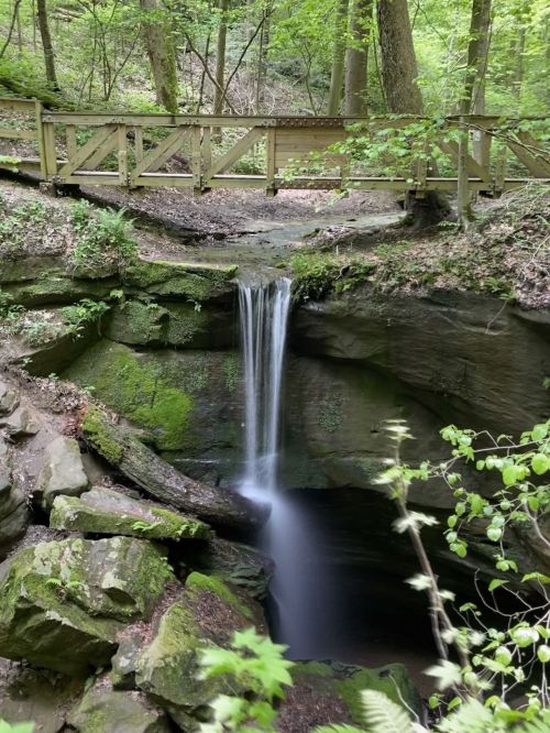 A serene waterfall cascades into a rocky gorge, surrounded by lush green foliage and a wooden bridge above.