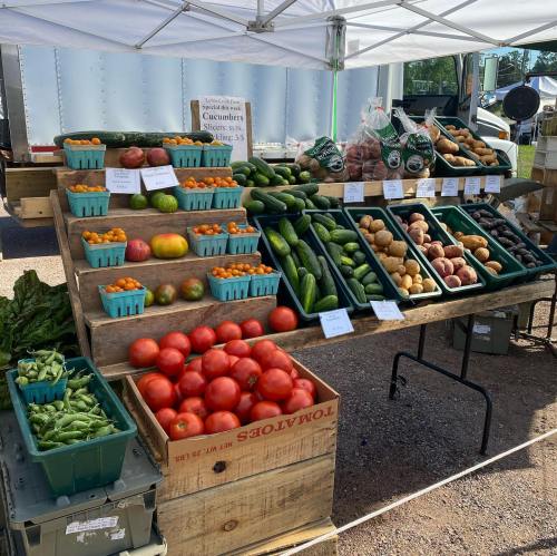 A market stand displays a variety of fresh vegetables, including cucumbers, tomatoes, and potatoes, under a tent.