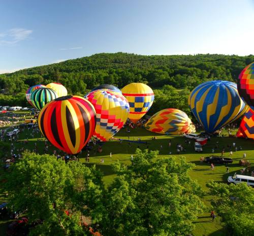 Colorful hot air balloons fill the sky above a green field, surrounded by trees and a crowd of people below.