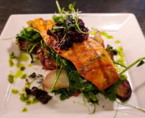 A beautifully plated dish featuring salmon on a bed of greens and potatoes, garnished with herbs and a dark sauce.