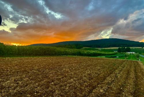 A scenic landscape at sunset, featuring rolling hills, a plowed field, and a colorful sky with clouds.