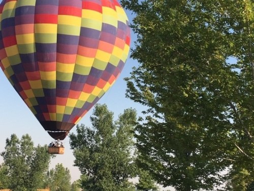 A colorful hot air balloon floats above green trees against a clear blue sky.
