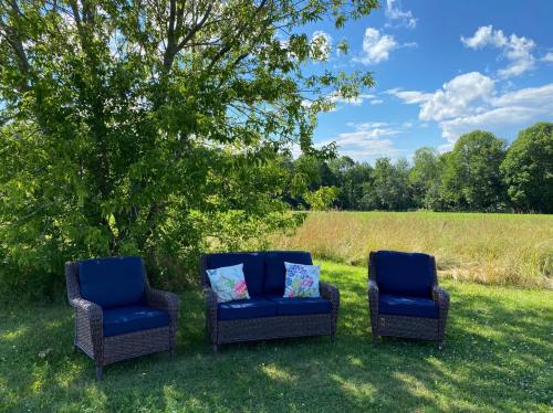 Three outdoor wicker chairs with blue cushions sit under a tree, overlooking a grassy field and blue sky.