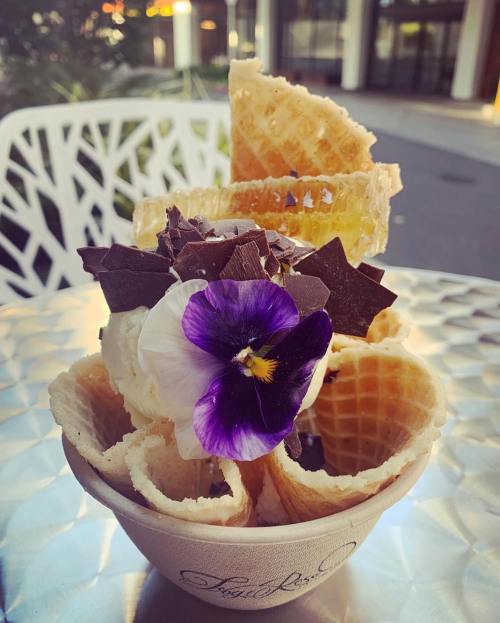 A dessert bowl filled with ice cream, chocolate pieces, waffle cones, and a purple flower on top.