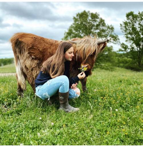 A girl in jeans and boots kneels in a grassy field, gently interacting with a brown cow.