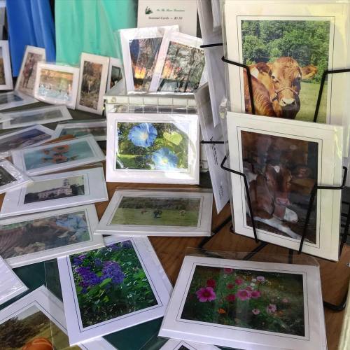 A display of assorted greeting cards featuring nature and animal photography, arranged on a table.