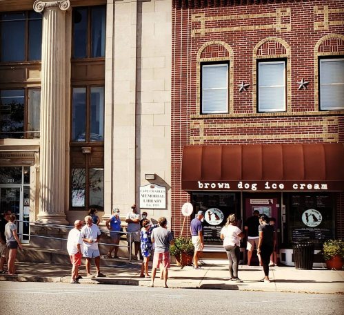 A line of people waiting outside Brown Dog Ice Cream, next to a library, on a sunny day.