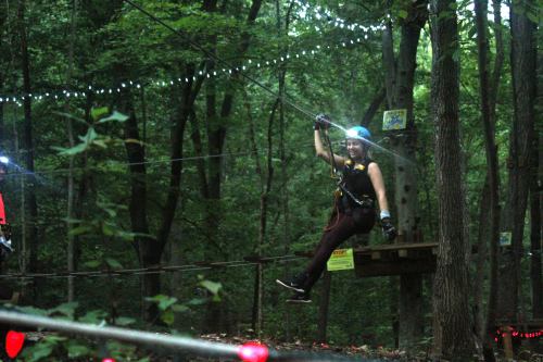 A person in a harness glides on a zip line through a forest, surrounded by trees and soft lighting.