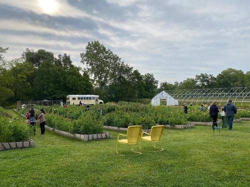 A vibrant flower farm with people exploring rows of blooms, green chairs in the foreground, and a greenhouse in the background.