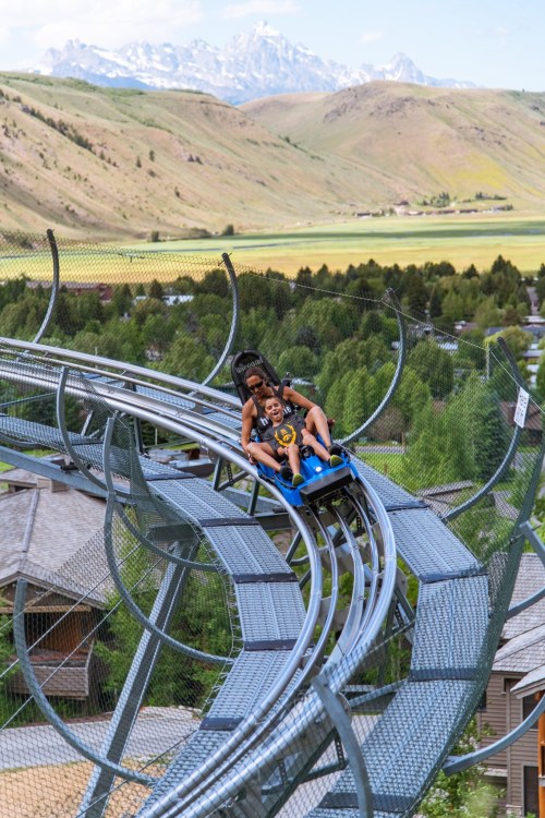 A child and adult enjoy a thrilling ride on a mountain coaster, surrounded by lush greenery and scenic hills.