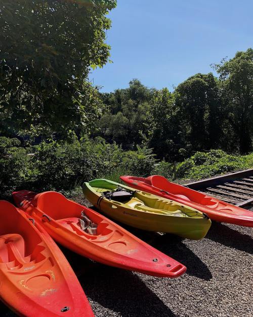 Four colorful kayaks in red and green are lined up near a lush green area under a clear blue sky.