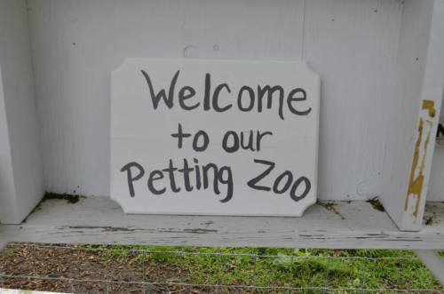 A wooden sign that reads "Welcome to our Petting Zoo" displayed on a shelf.