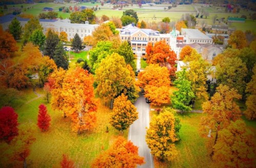 Aerial view of a vibrant autumn landscape with colorful trees and a winding road, surrounded by buildings and fields.