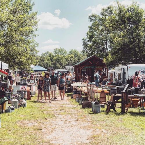 A bustling outdoor market with vendors, shoppers, and various items for sale under a sunny sky and trees.