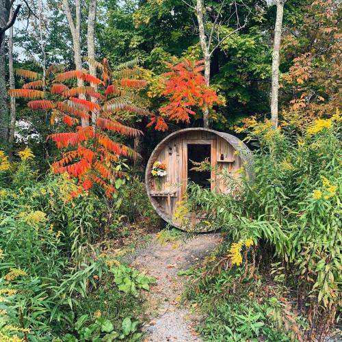 A whimsical wooden structure surrounded by vibrant autumn foliage and lush greenery along a winding path.