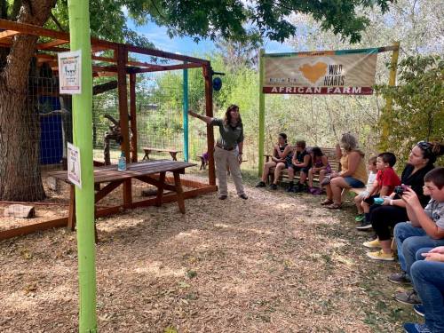 A guide speaks to a group of people seated in front of an animal exhibit at an outdoor educational farm.