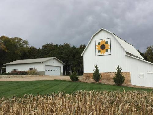 A white barn with a sunflower design, surrounded by green grass and trees, under a cloudy sky.
