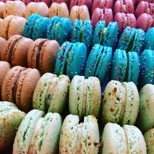 A colorful assortment of macarons in shades of pink, blue, brown, and green, arranged in neat rows.