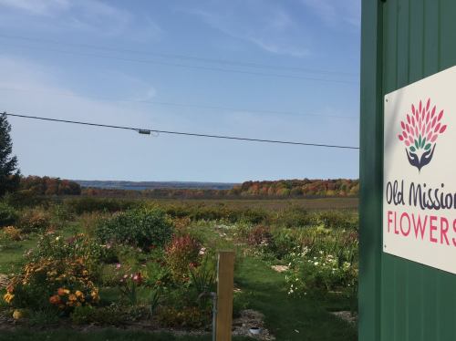 A vibrant flower garden with colorful blooms, set against a backdrop of rolling hills and autumn foliage.