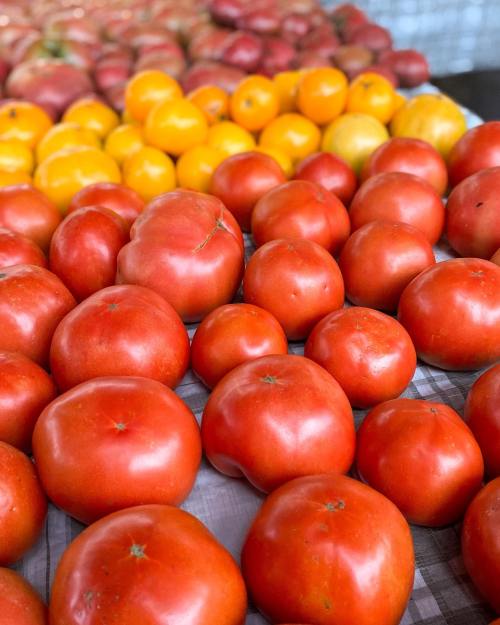 A close-up of vibrant red tomatoes arranged on a market table, with yellow and orange fruits in the background.