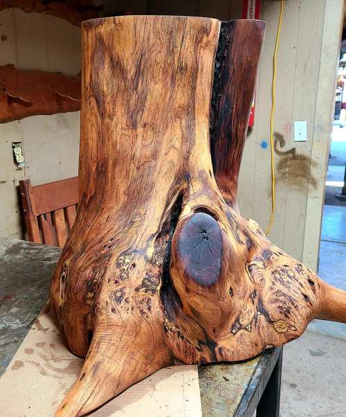 A beautifully crafted wooden stump with intricate grain patterns and a polished finish, resting on a workbench.