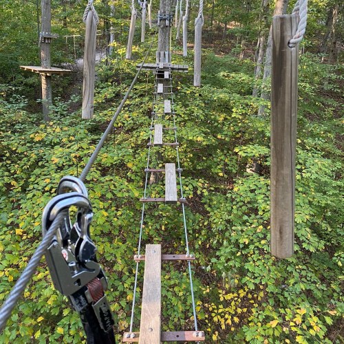 A zip line platform with wooden planks suspended above a forested area, surrounded by green foliage.