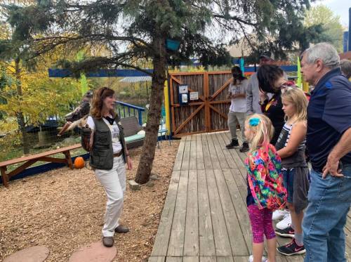 A woman holds a hawk on her arm while a group of children and adults watch in a park setting.