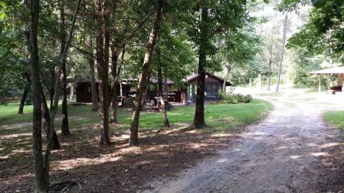A dirt path leads to rustic cabins surrounded by trees in a serene, wooded area.