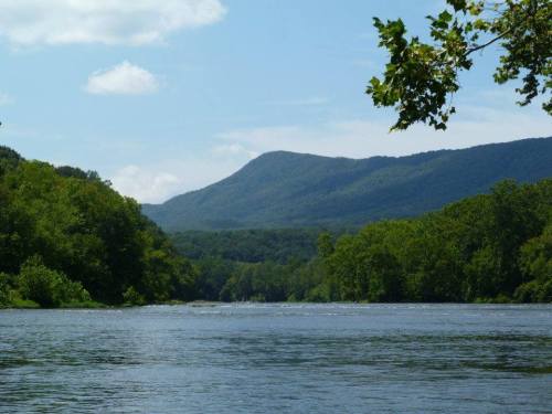 A serene river flows through lush green trees, with mountains rising in the background under a clear blue sky.
