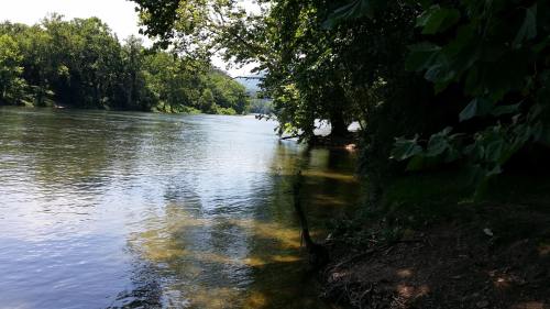 A serene river scene surrounded by lush greenery and trees, reflecting sunlight on the water's surface.