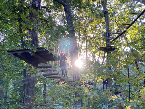 A person navigates a treetop obstacle course in a sunlit forest, surrounded by trees and greenery.