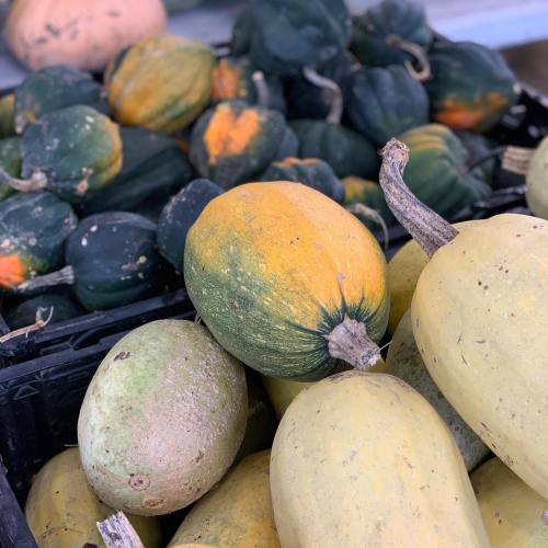 A variety of squash in different colors and shapes piled in crates at a market.