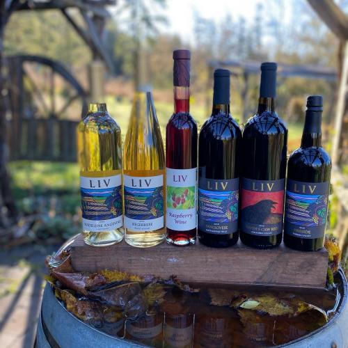 A selection of six bottles of LIV wines displayed on a wooden plank over a barrel, surrounded by autumn leaves.
