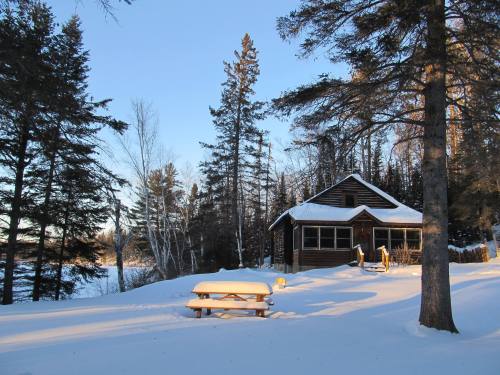 A cozy cabin surrounded by snow-covered trees, with a picnic table in the foreground and a clear blue sky above.