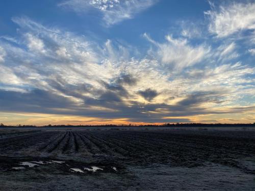 A frosty field under a dramatic sky filled with clouds at sunset, with rows of crops visible in the foreground.