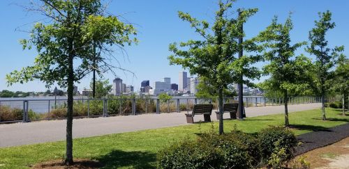 A scenic park path lined with trees, benches, and a view of a city skyline across the water under a clear blue sky.
