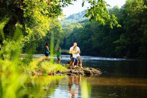 A family fishing by a river surrounded by lush greenery on a sunny day.